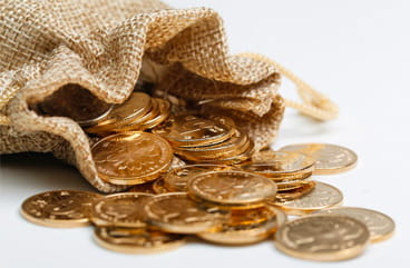 A sack of gold coins.